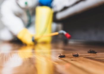 Pest Control Management And Its Different Methods