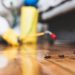 Pest Control Management And Its Different Methods