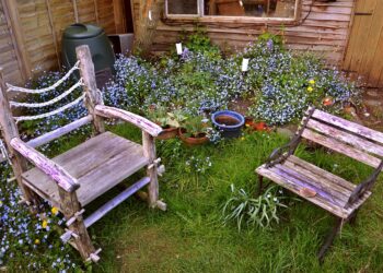 5 Important Features You Must Have in Your Garden