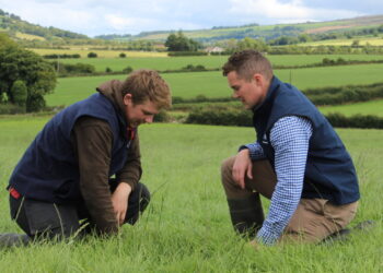 4 Tips For Effective Weed Control