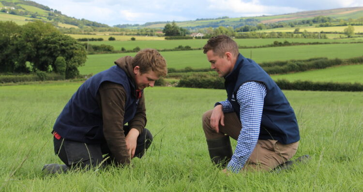 4 Tips For Effective Weed Control