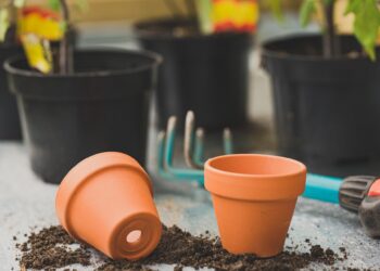 How to Pick a Gardening Container