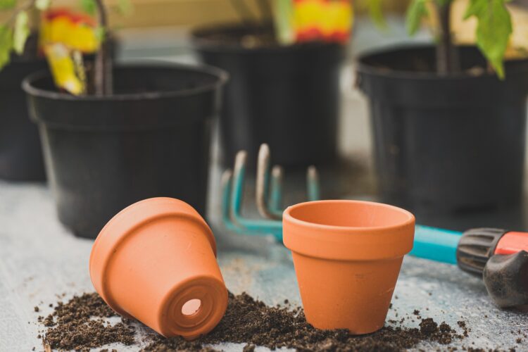 How to Pick a Gardening Container