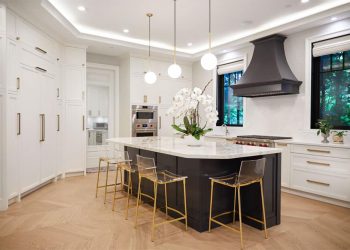 Elevate Your Home: A Guide to Luxury Kitchen Renovation