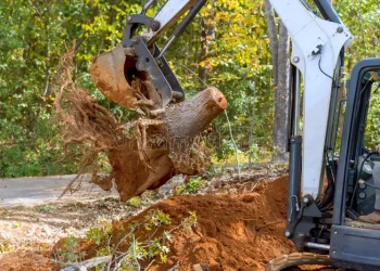 The Challenges of Tree Clearance on Complex Development Sites