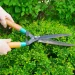 3 Must-Have Tools for Pruning