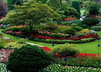 Garden Design Mistakes That’ll Cost You Time and Money