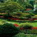 Garden Design Mistakes That’ll Cost You Time and Money