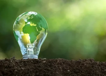 Lowering Your Bills: 5 Ways to Improve Energy Efficiency in Your Dunstable Rental