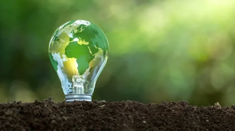 Lowering Your Bills: 5 Ways to Improve Energy Efficiency in Your Dunstable Rental